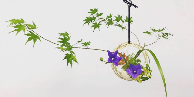 Ikebana Ikenobo Paris